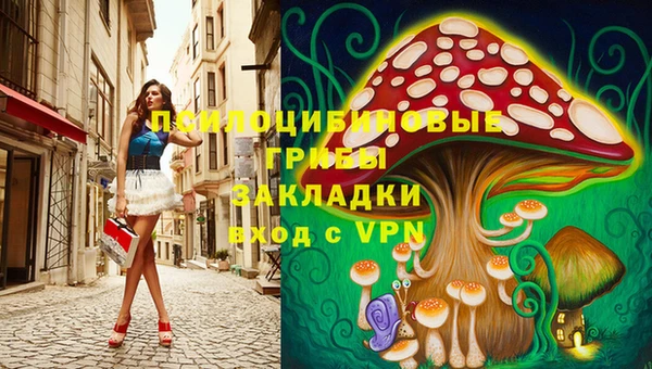 мяу мяу кристалл Покачи