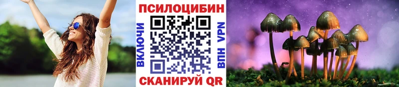 Псилоцибиновые грибы MAGIC MUSHROOMS  Рудня 